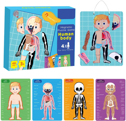 48 sztuk Edukacyjne Magnetyczne Ludzkie Ciało Puzzle Puzzle Do zabawek dla 3-letniego malucha